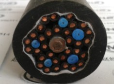 阻燃鋼帶鎧裝計算機(jī)電纜ZR-DJYVP22-16*2*1.5
